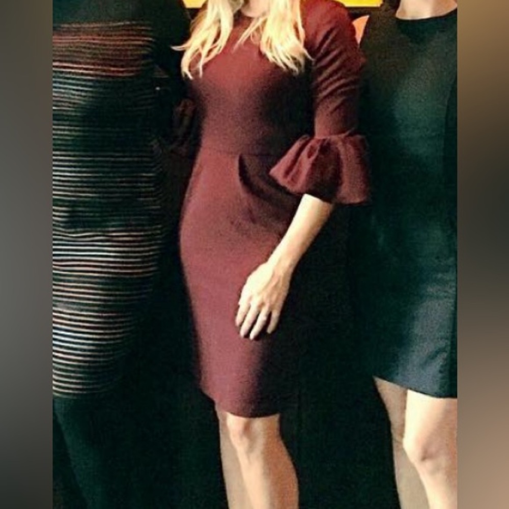 Burgundy Puffy Sleeve Dress